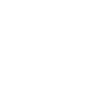 See it Feel it Seal it logo