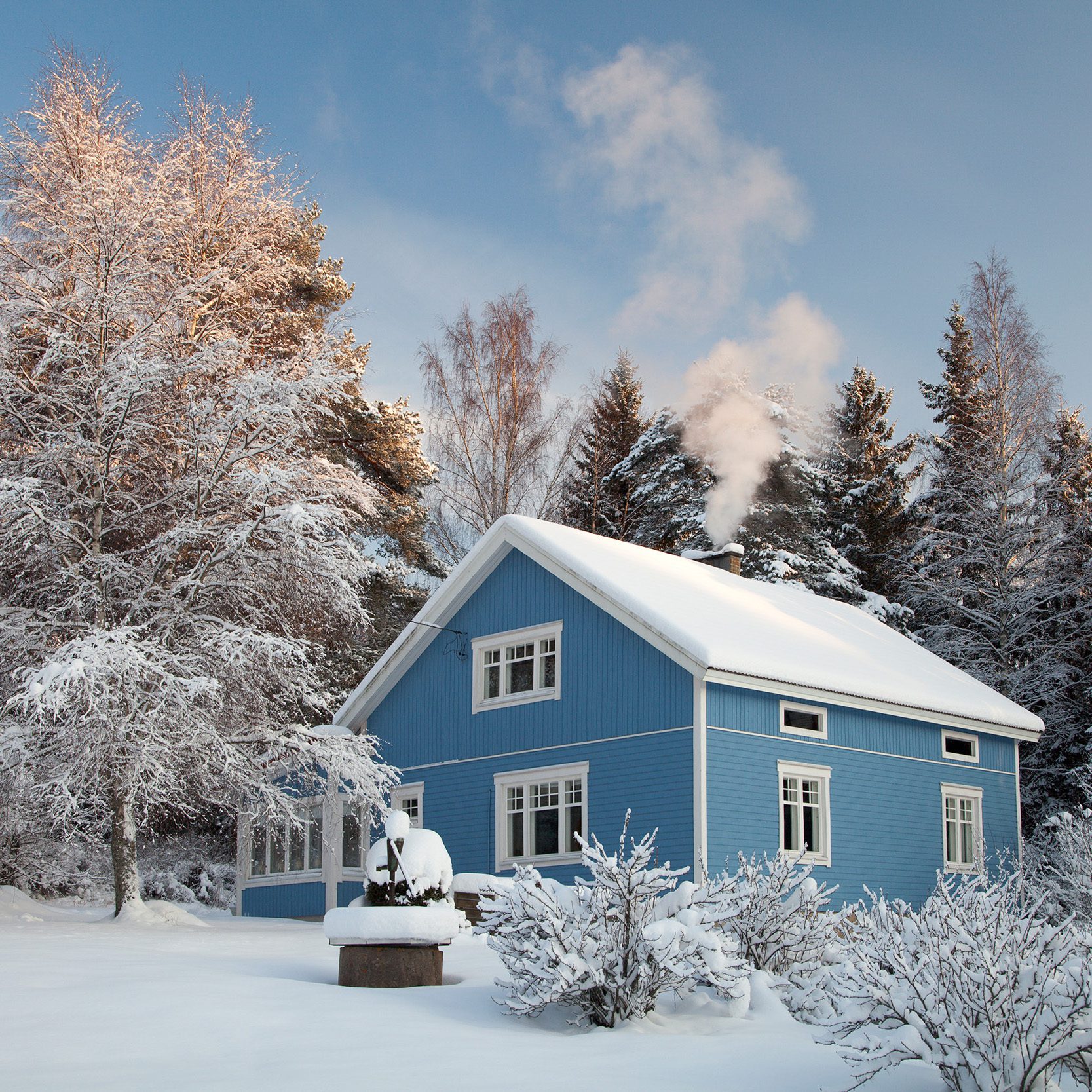 blue house surrounded by trees covered in snow during winter