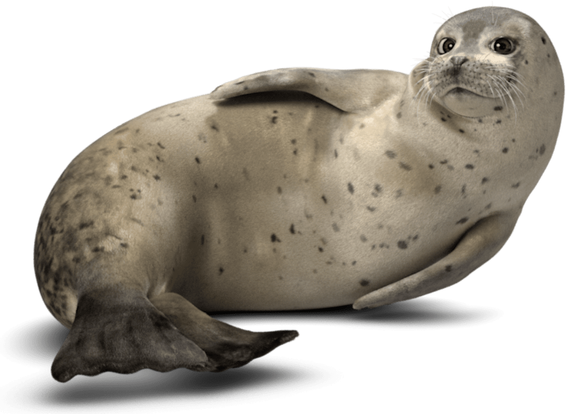 friendly seal